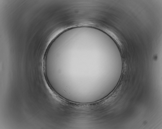 X0000095921047200801110850