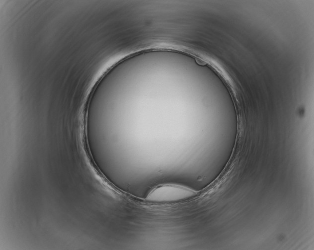 X0000095921048200801110850