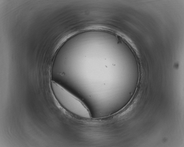 X0000095921049200801110850