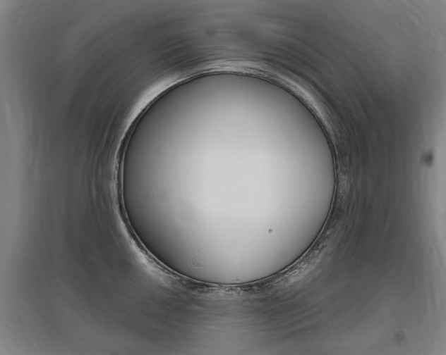 X0000095921050200801110850