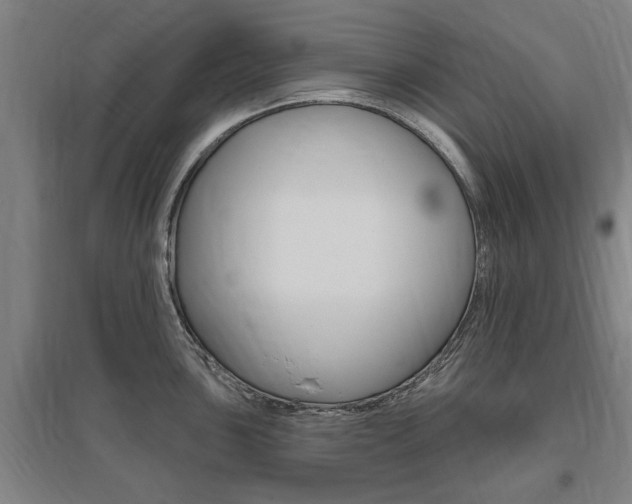 X0000095921051200801110850