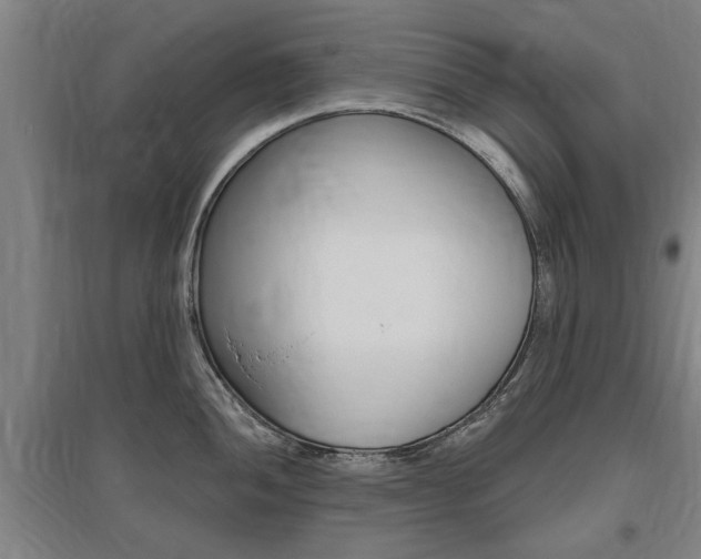 X0000095921052200801110850
