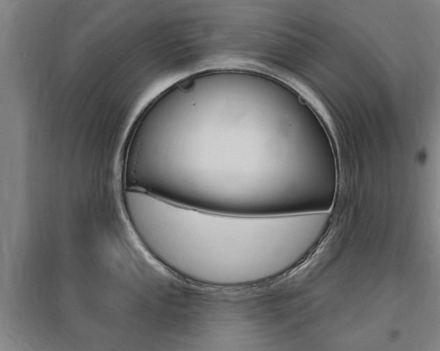 X0000095921053200801110850