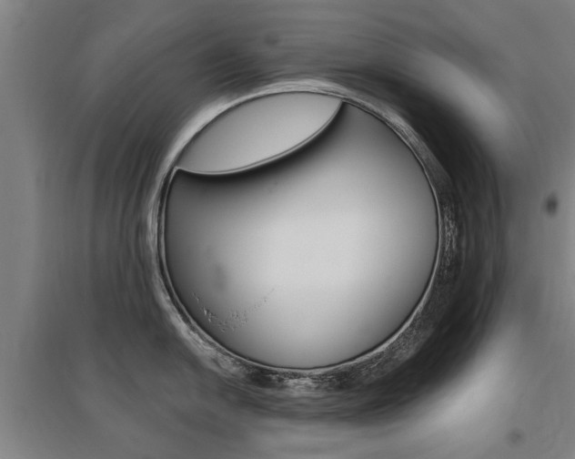 X0000095921054200801110850