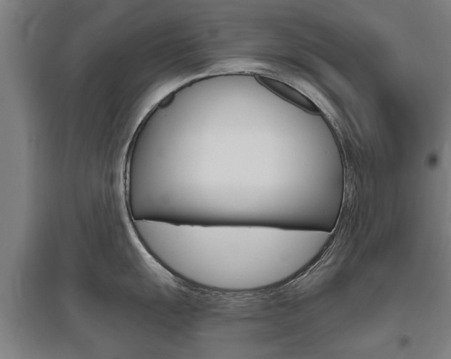 X0000095921055200801110850