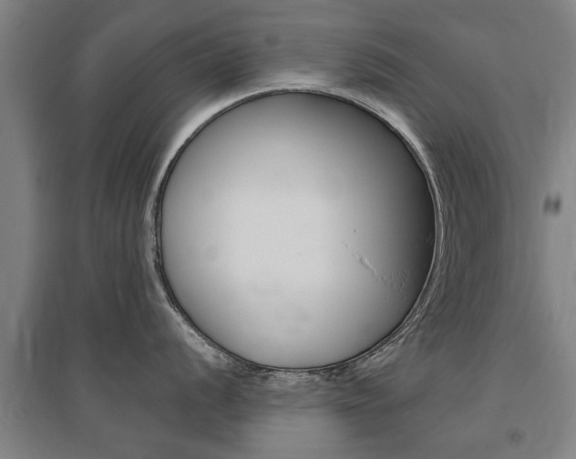 X0000095921056200801110850