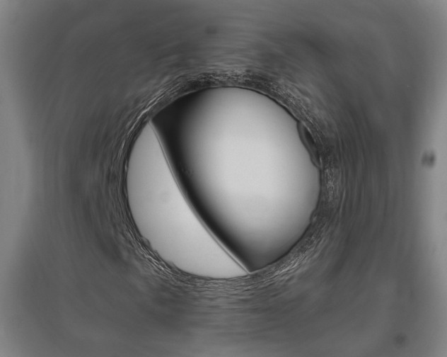 X0000095921057200801110850