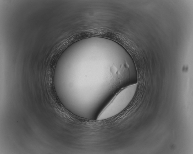 X0000095921058200801110850