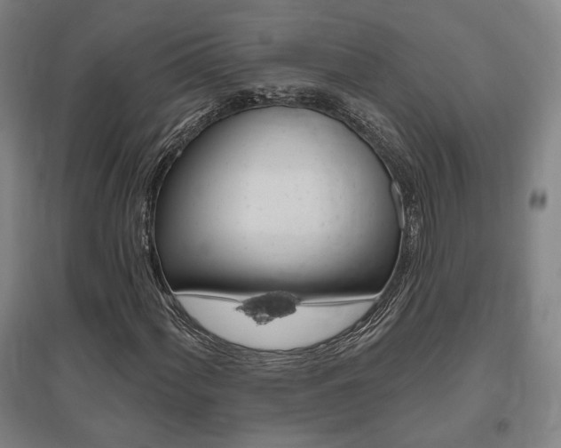 X0000095921060200801110850