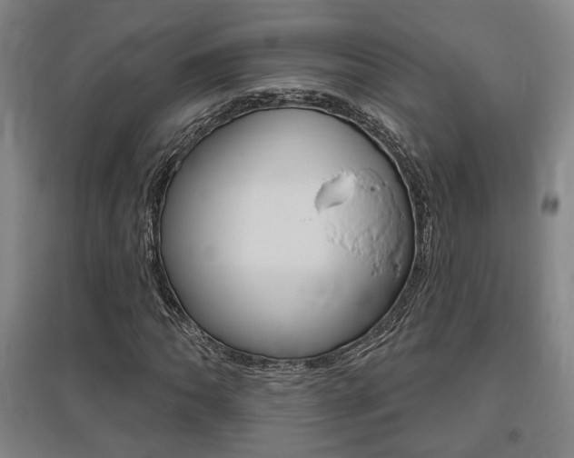 X0000095921062200801110850