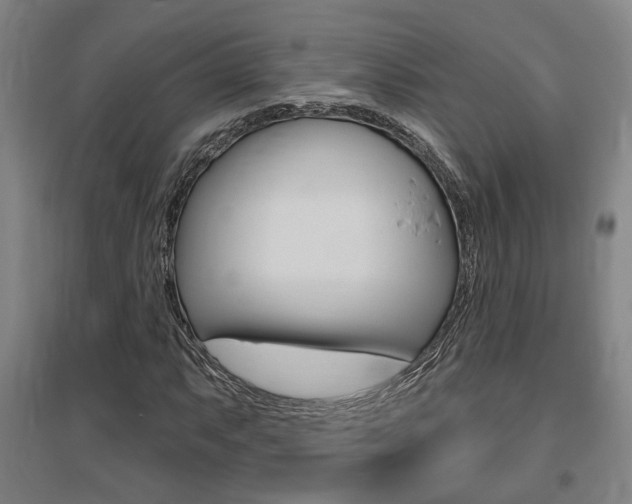 X0000095921063200801110850