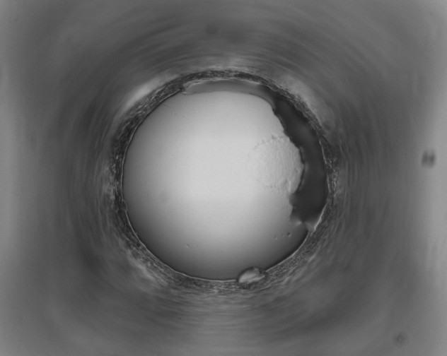 X0000095921064200801110849