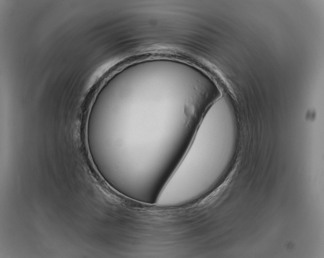 X0000095921066200801110849