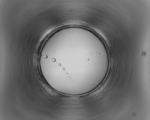 X0000095921067200801110849