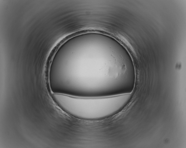 X0000095921068200801110849