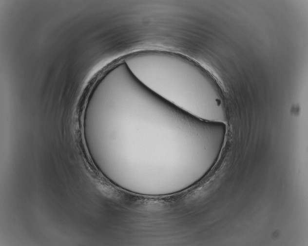 X0000095921070200801110849