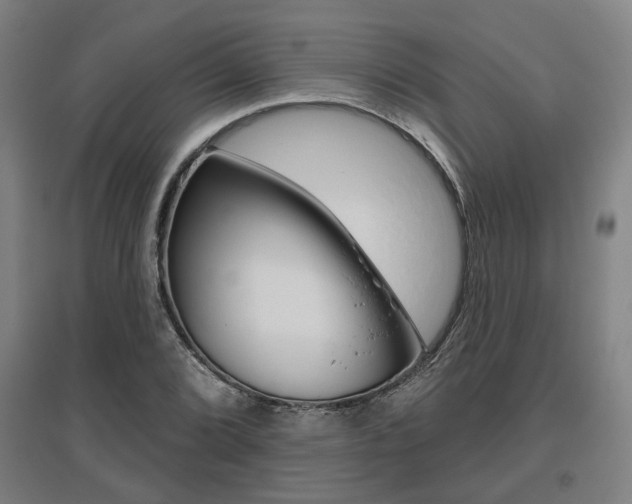 X0000095921072200801110849