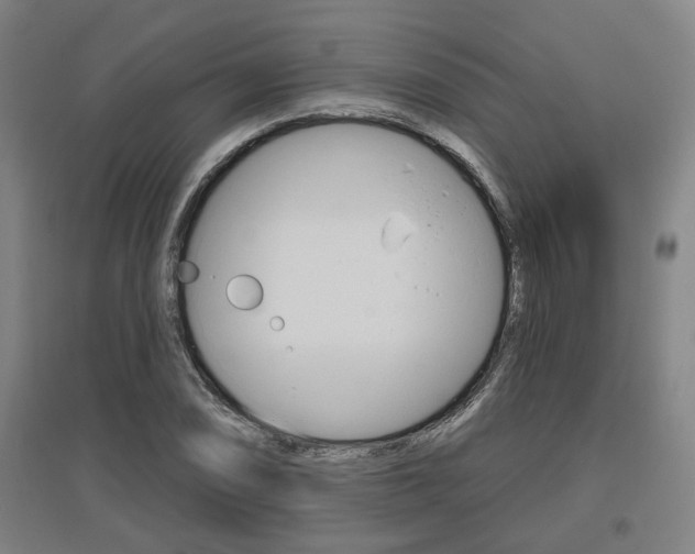 X0000095921074200801110849