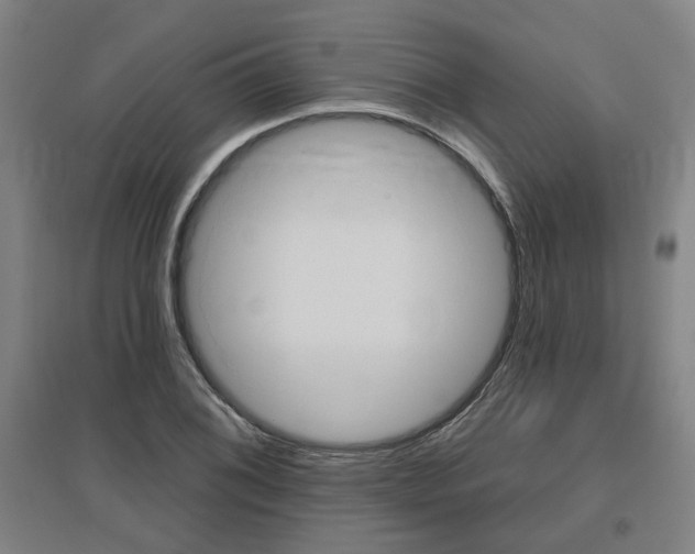 X0000095921076200801110849