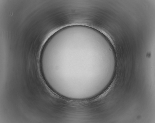 X0000095921077200801110849