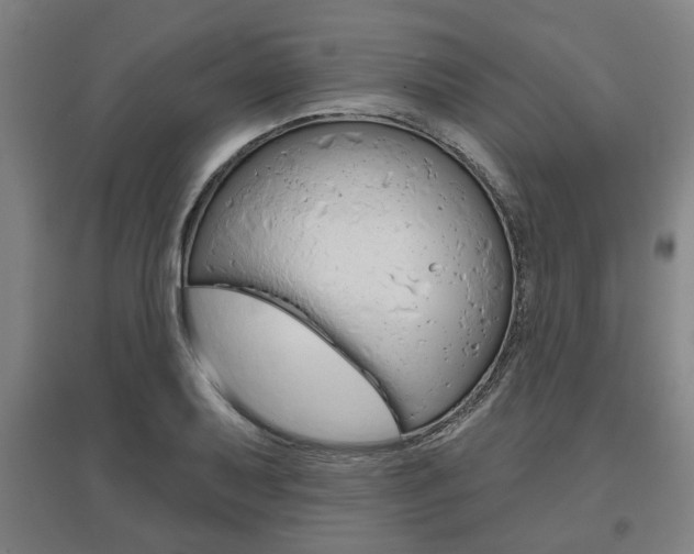 X0000095921079200801110849