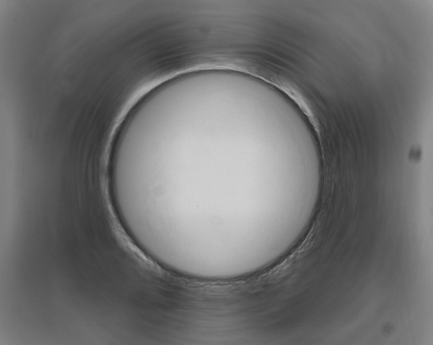 X0000095921080200801110849