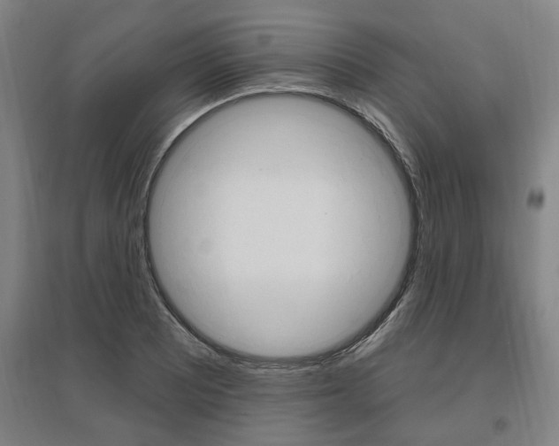X0000095921081200801110849