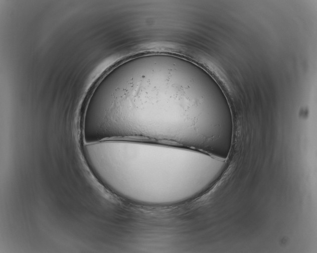 X0000095921082200801110849