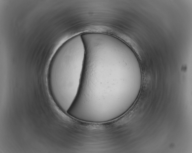 X0000095921083200801110849