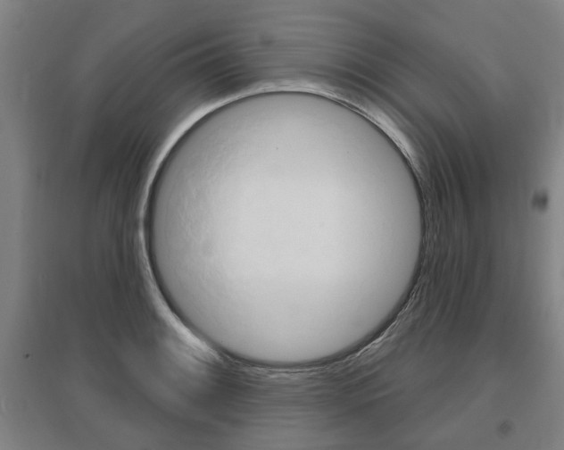 X0000095921084200801110849