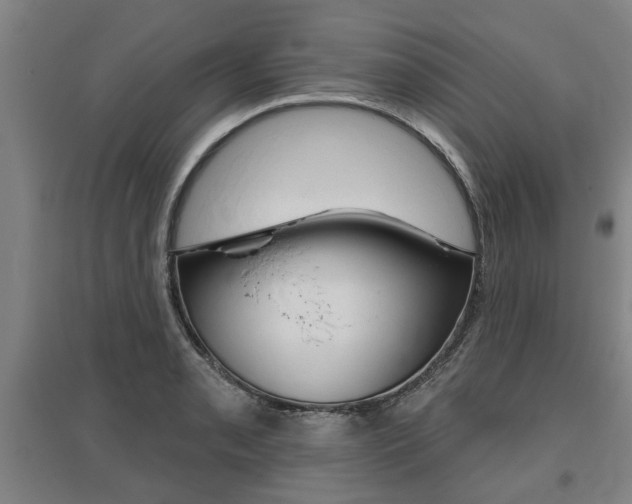 X0000095921085200801110849