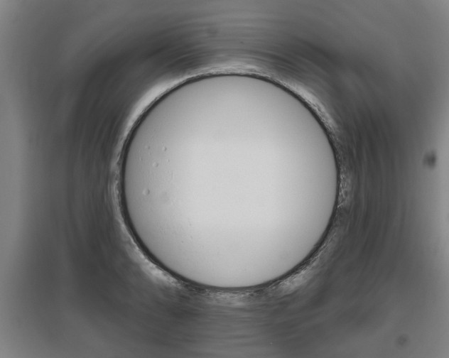 X0000095921086200801110849