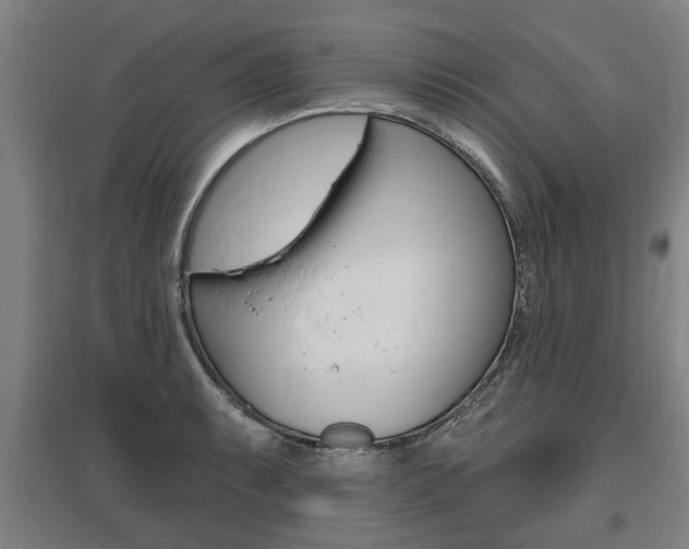 X0000095921087200801110849