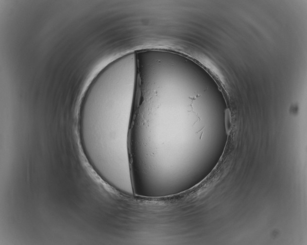 X0000095921088200801110849