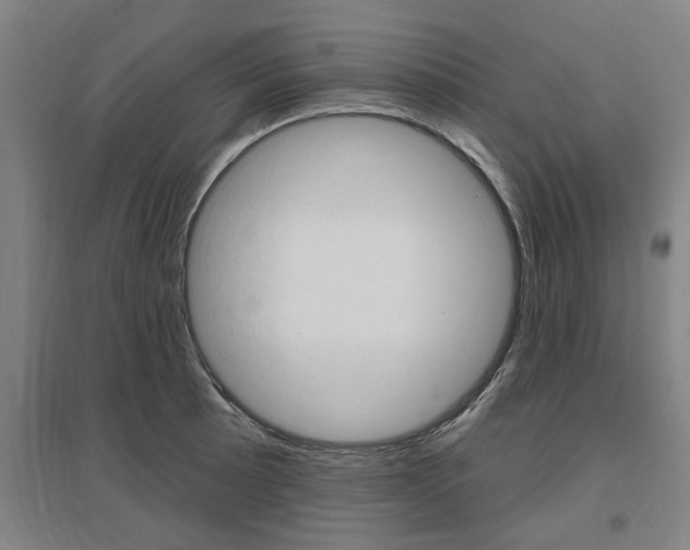 X0000095921089200801110849