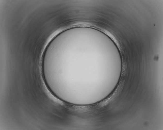 X0000095921090200801110849