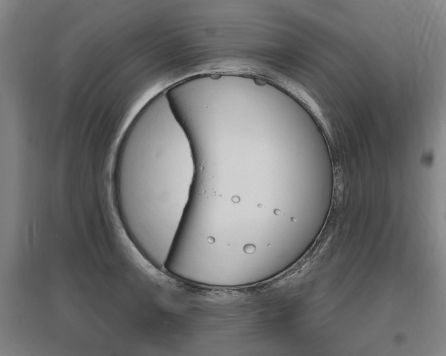 X0000095921091200801110849