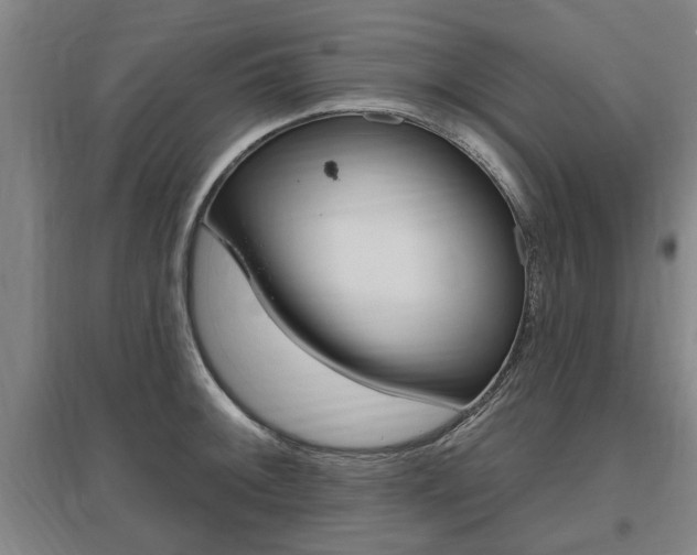 X0000095921092200801110849