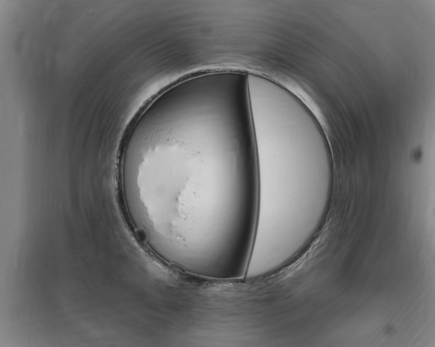 X0000095921093200801110849