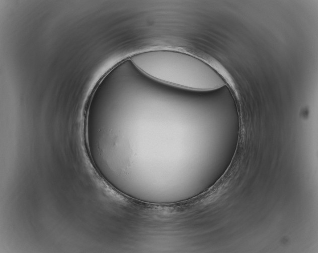 X0000095921096200801110849