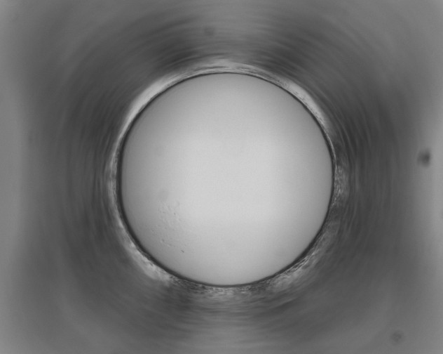 X0000095921098200801110849