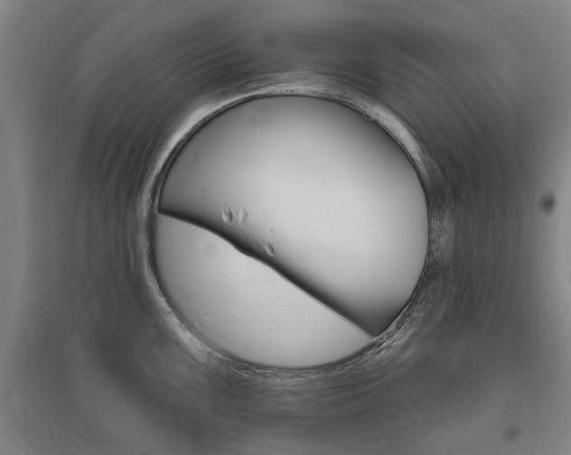 X0000095921099200801110849
