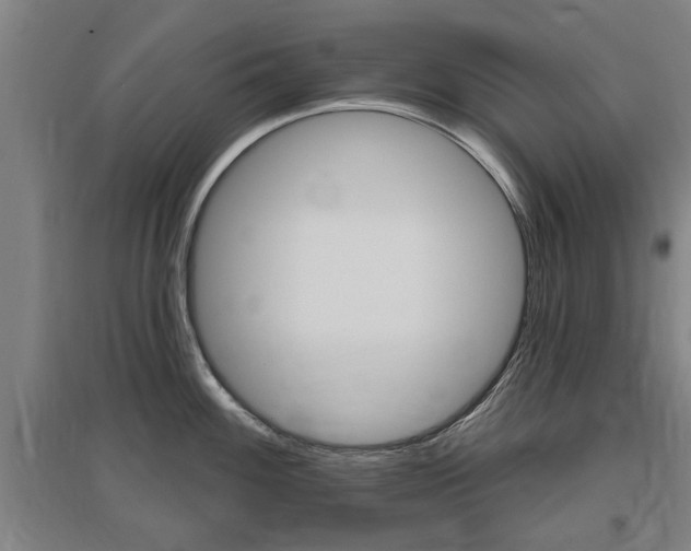 X0000095921100200801110849