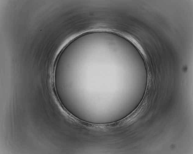 X0000095921101200801110849