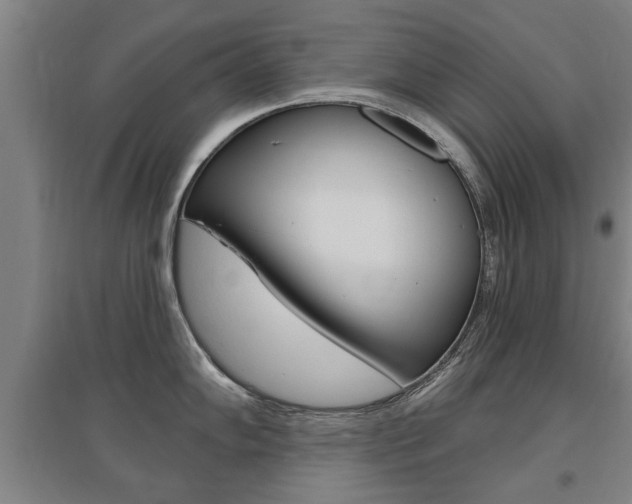 X0000095921102200801110849