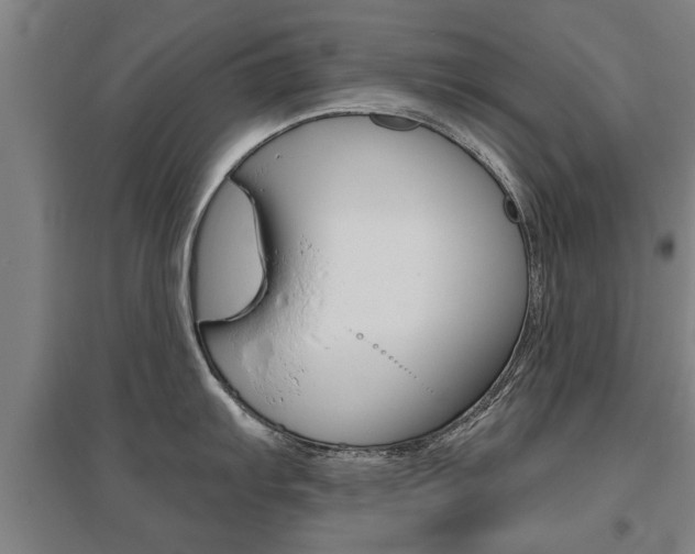 X0000095921103200801110849