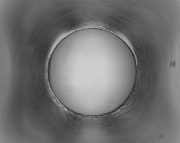 X0000095921104200801110849