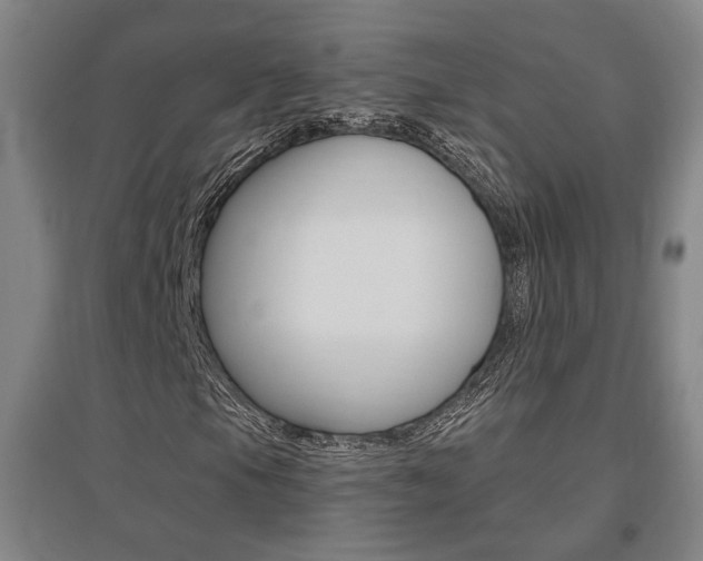 X0000095921105200801110848