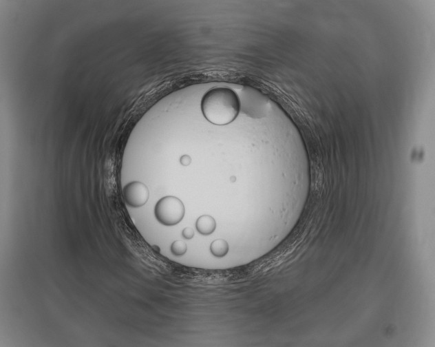 X0000095921106200801110848