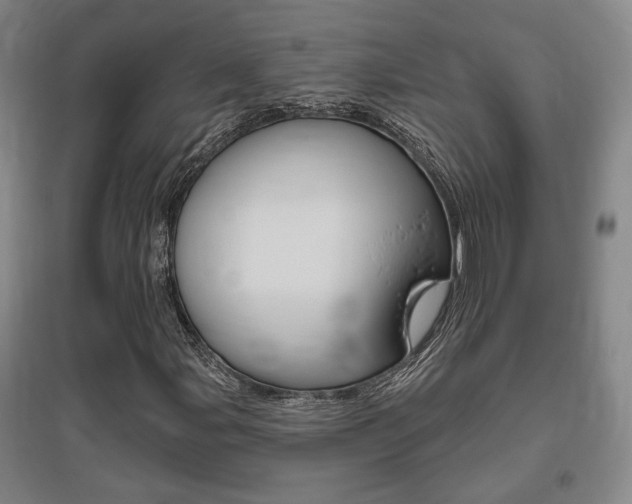 X0000095921107200801110848